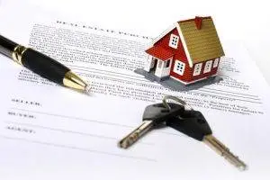 administrator of an estate